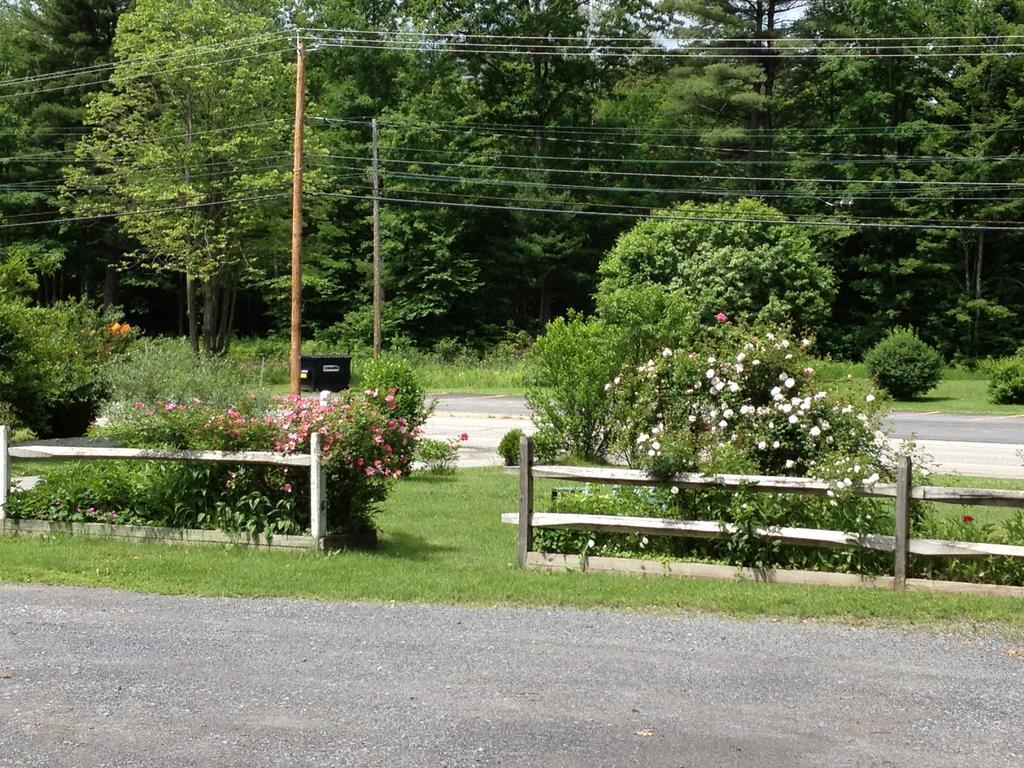 Mcgregor Inn Motel Wilton Екстериор снимка
