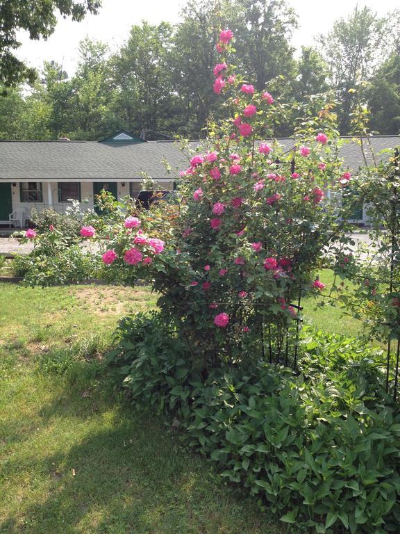 Mcgregor Inn Motel Wilton Екстериор снимка